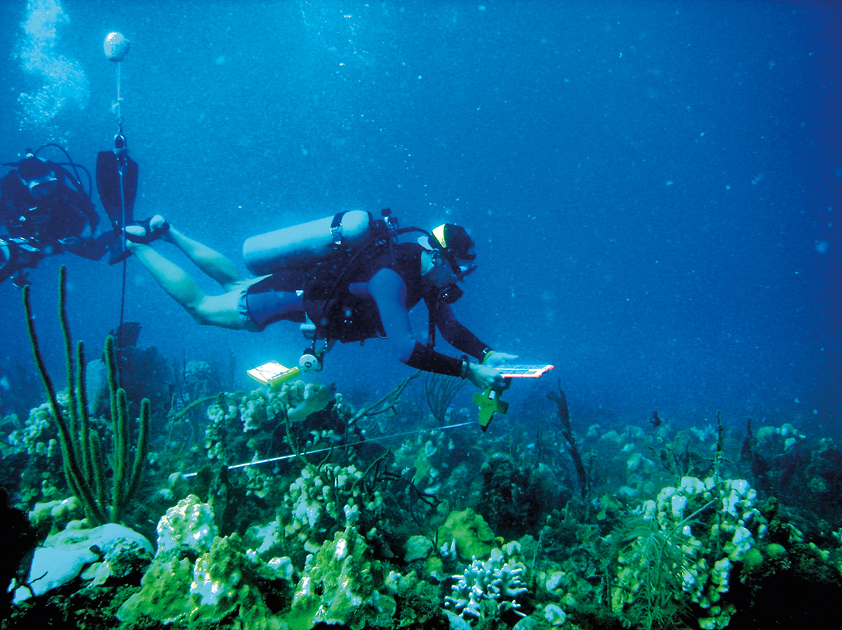 Dr. Erin Muller and Jeff Miller (National Park Service) conduct episodic monitoring of coral reefs at the Tektite site during the 2005–2007 bleaching and disease outbreak. Photo: C. Rogers.