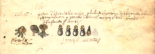 Sixteenth-century tribute list from the Valley of Mexico featuring cacao. Spanish script with illustrations by native Mexicans. The three symbols on the left indicate place names. Genaro García Collection, Benson Latin American Collection.